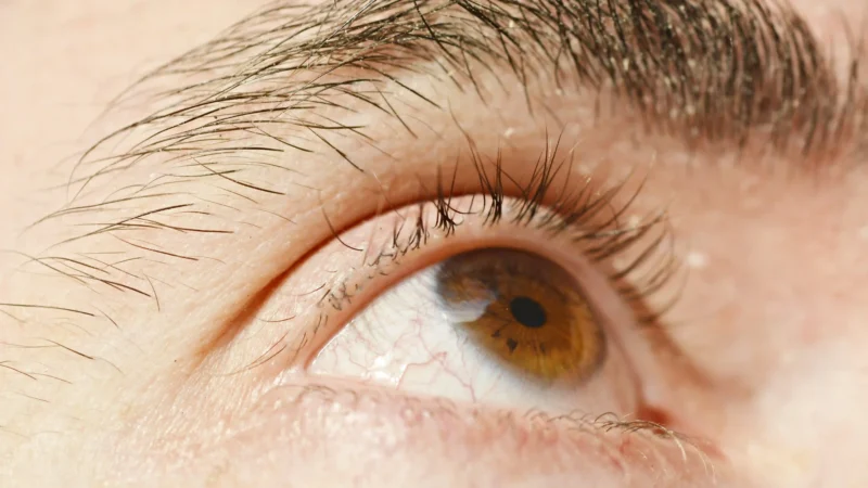 VisiFlora Gut-Eye Vision Support: A 2026 Consumer Review of Claims, Science, and What Buyers Should Know